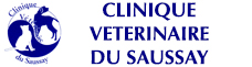 Clinique du Saussay - Metavet